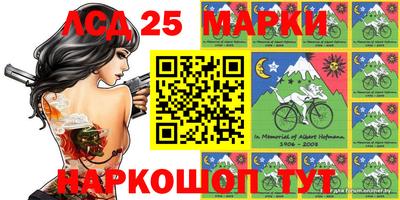 индика Бердск