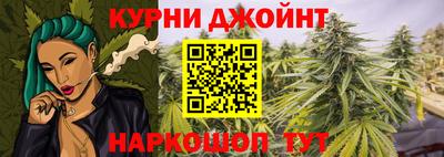 индика Бердск