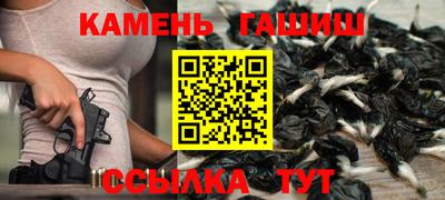индика Бердск