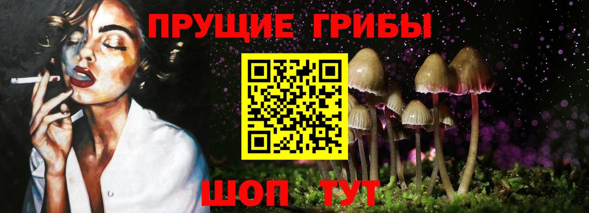 Галлюциногенные грибы MAGIC MUSHROOMS  Вход с VPN  Камень-на-Оби 